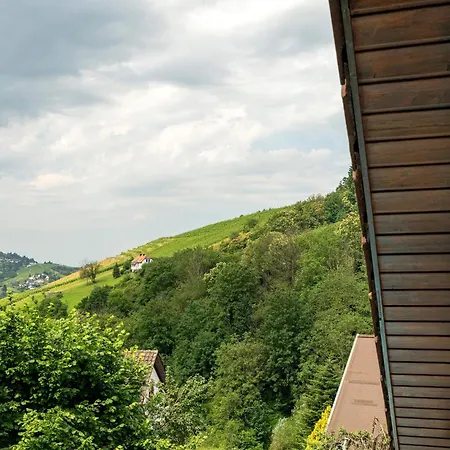Daire Wintereck Bühlertal